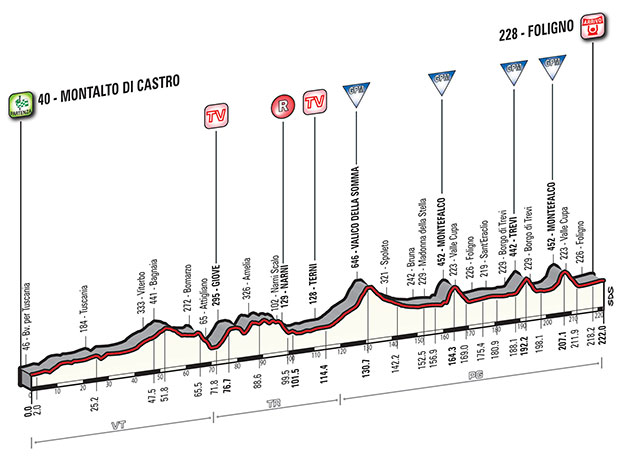 Stage 4 profile